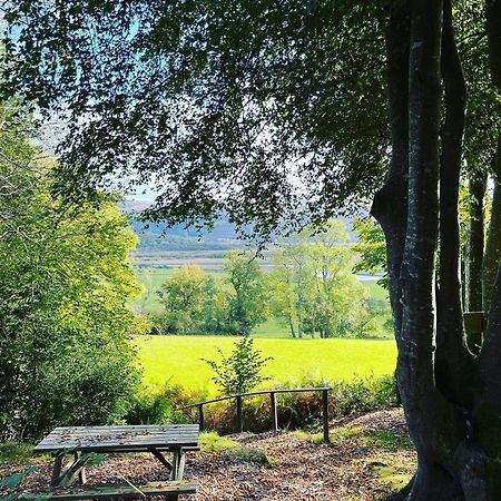 Llety Brynawel Guest House Pennal Buitenkant foto