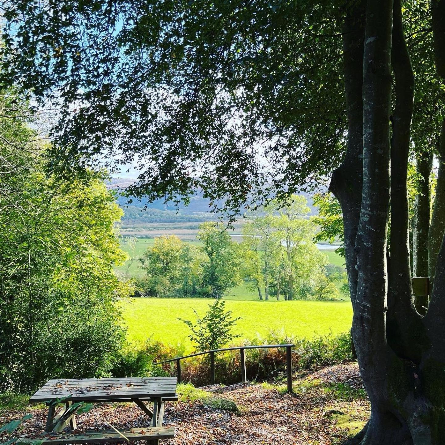 Llety Brynawel Guest House Pennal Buitenkant foto