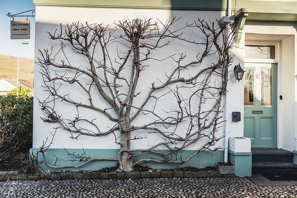Llety Brynawel Guest House Pennal Buitenkant foto