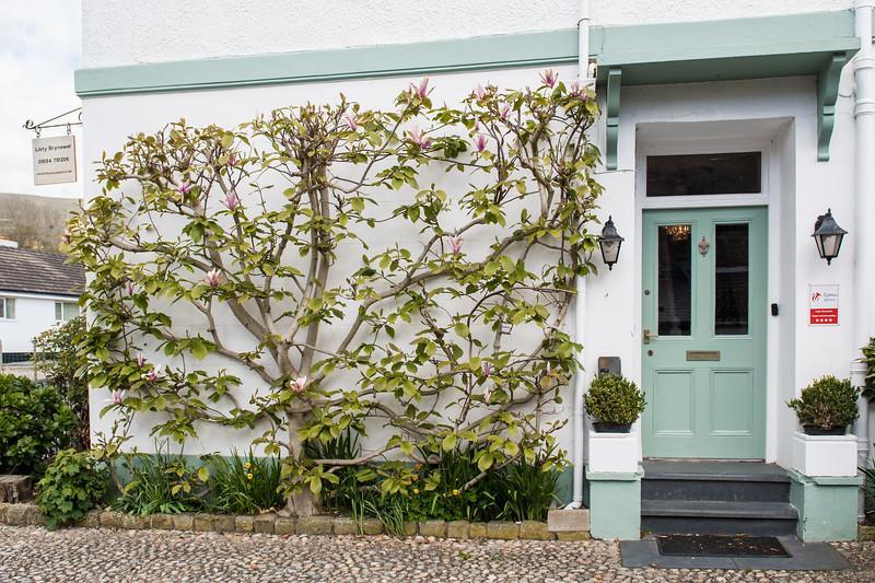 Llety Brynawel Guest House Pennal Buitenkant foto